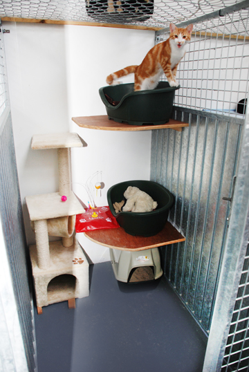 Kozie Kennels van
